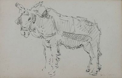 Orlando Grosso (1882-1968)pippo, L’asinello Dell’ortolano di Albaro