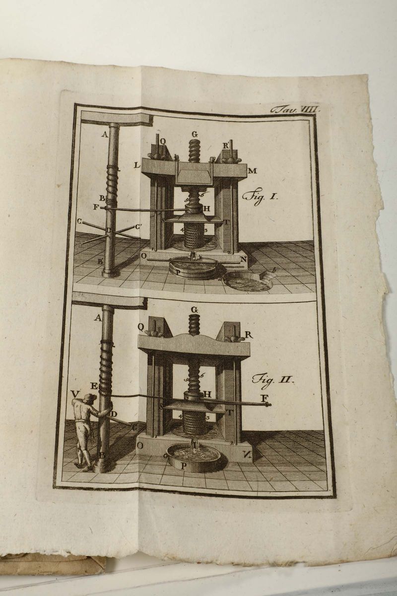 Gandolfi, Bartolomeosaggio Teorico-pratico Sopra gli Ulivi, L'olio e i Saponi..., Roma, Zempel, 1...