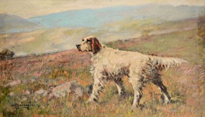 Cesare Bentivoglio (1868-1952)setter in Consenso