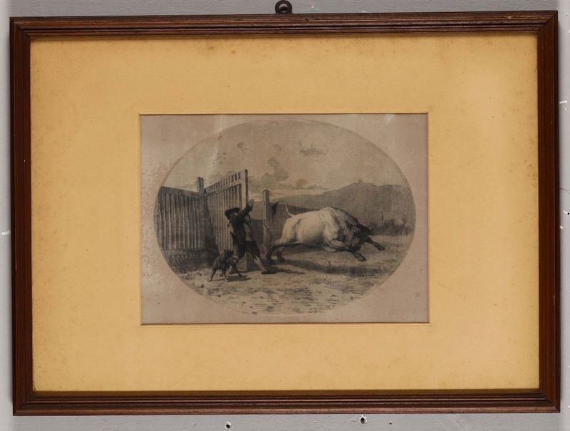 Disegno a matita si carta raffigurate toro, XX secolo  - Auction Timed Fine Art - I - Cambi Casa d'Aste
