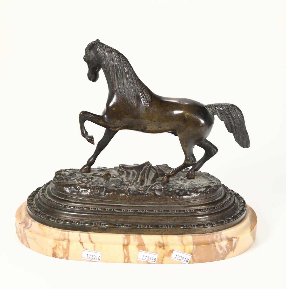 Cavallino in Bronzo, XIX Secolo