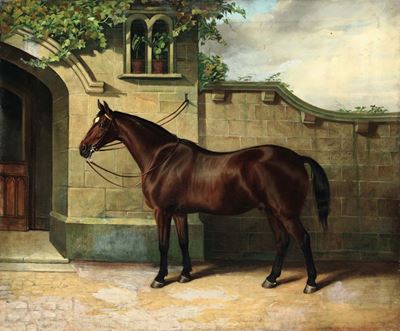 Edward Lloyd (attivo 1846 - 1891)horse in The Courtyard