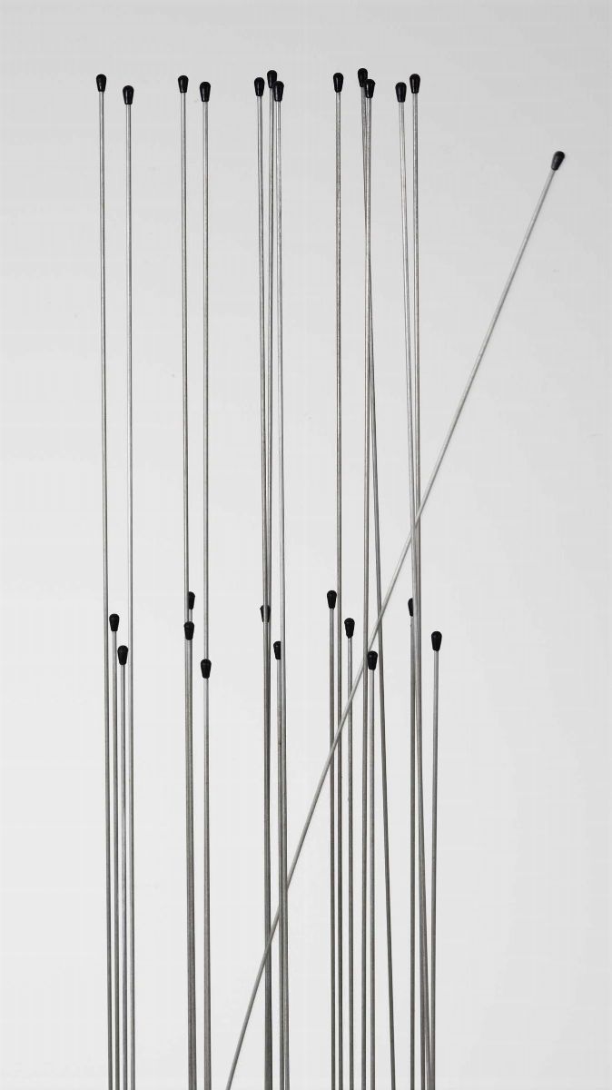 Antonio Barrese (1945)electricsavana, 2007