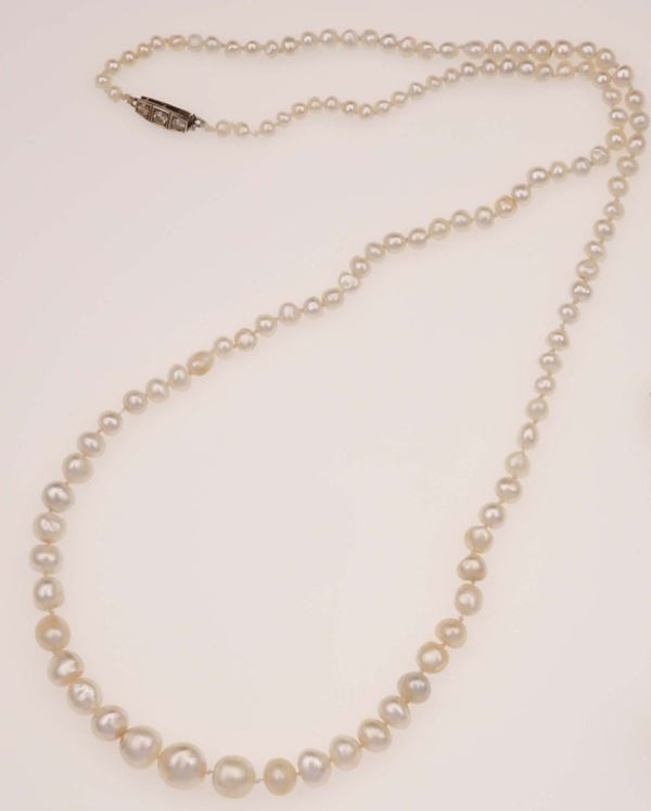 Saltwater natural pearl necklace