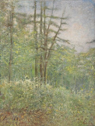 Emilio Borsa (1857-1931), Attribuito Abosco