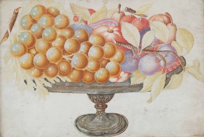 Giovanna Garzoni (1600-1670), Scuola Dialzatina con Uva, Prugne e Corbezzoli