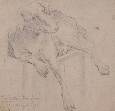 Giovanni Maria Viani (1636-1700)cane Semisdraiato