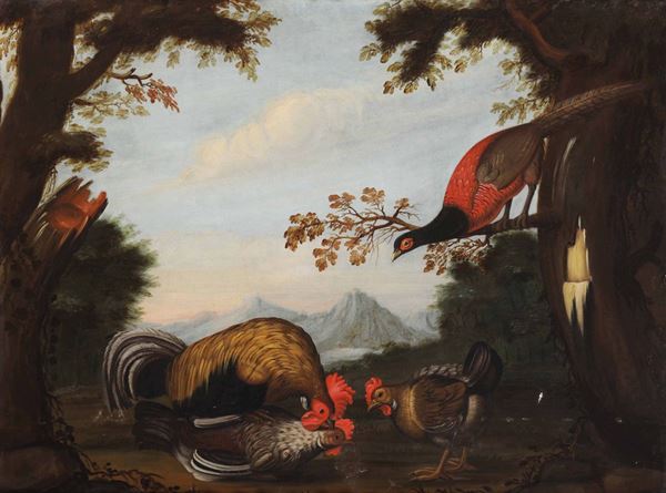 Scuola del XVIII secolo Scena campestre con gallinacei e fagiano