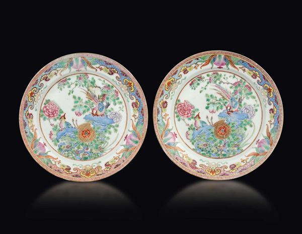 A pair of Pink Family porcelain plates with botanical scenes, China, Qing Dynasty, 19th century