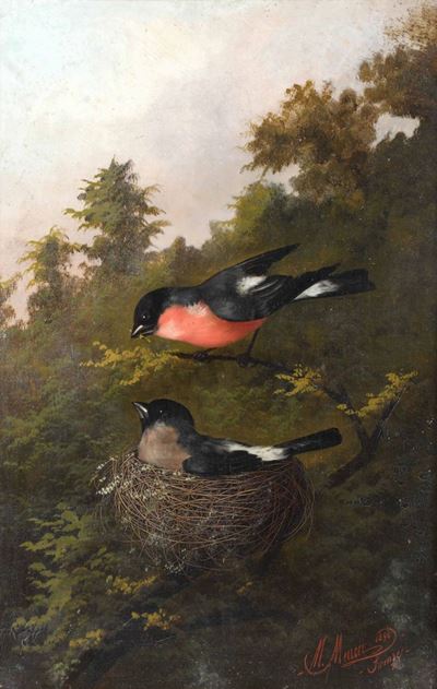 Michelangelo Meucci (1840-1909)uccellini nel Nido, 1896