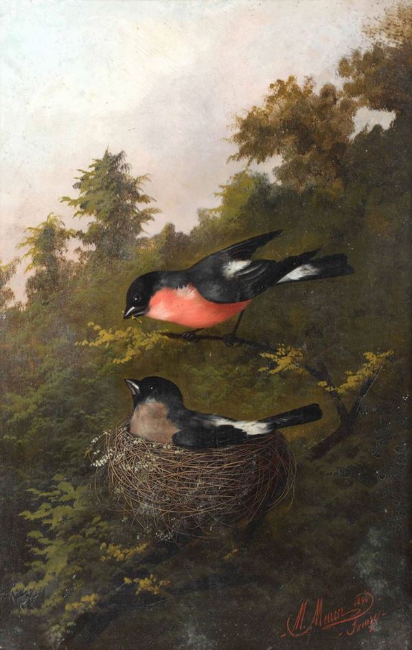 Michelangelo Meucci (1840-1909) Uccellini nel nido, 1896