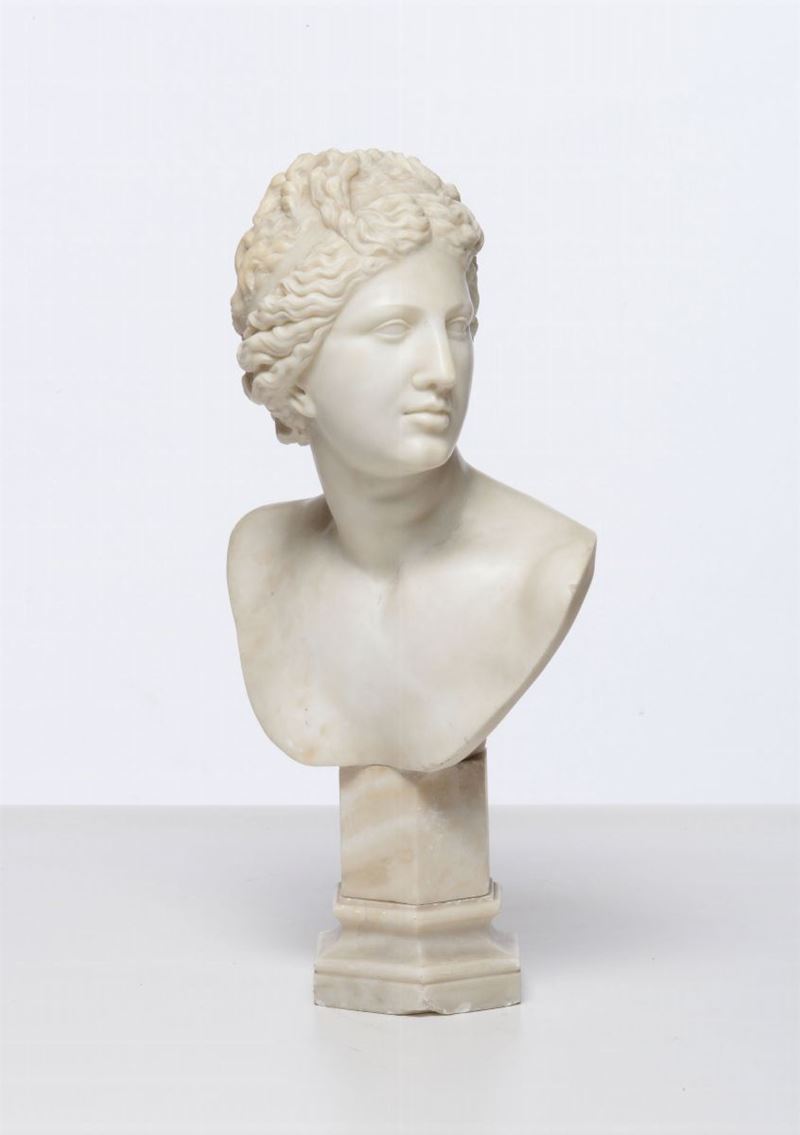 Venere dei Medici in marmo bianco di Carrara, XIX-XX secolo  - Auction Works of Art Timed Auction - IV - Cambi Casa d'Aste
