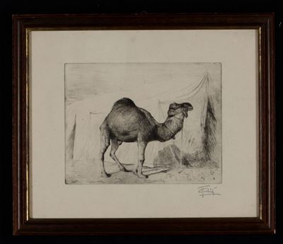 Federico Gariboldi (genova 1879- Varese 1950)dromedario Davanti a una Tenda