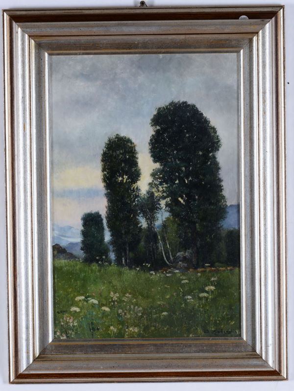 Domenico Rabioglio (Cavoretto, To  1857- Torino 1903) Paesaggio con campo fiorito e alberi