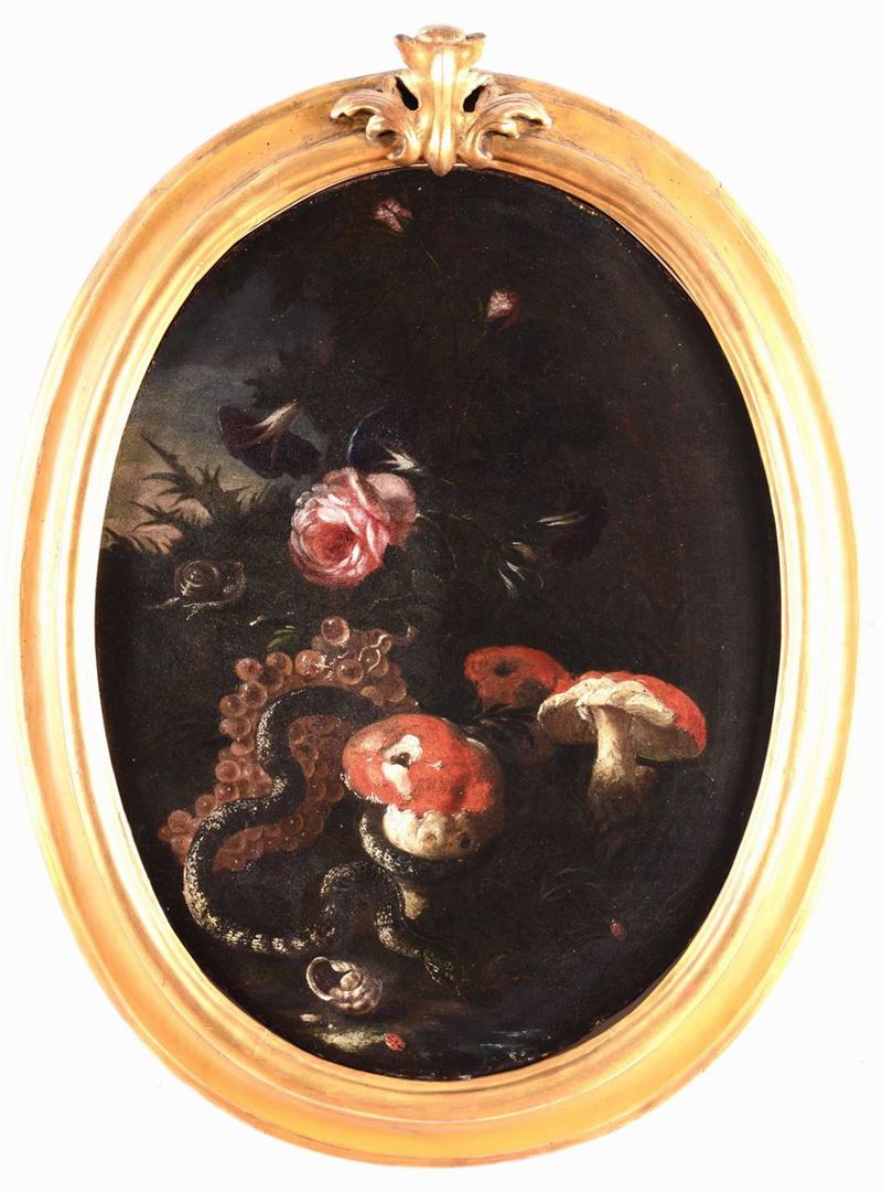 Paolo Porpora (1617-1673), cerchia di Natura morta con serpe, funghi e frutta  - Asta Dipinti Antichi - Cambi Casa d'Aste