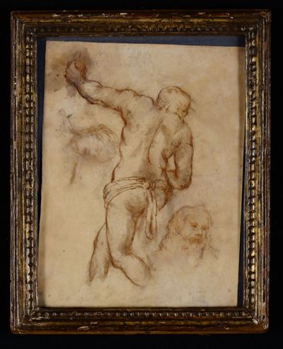 Scuola del XVI Secolostudi Anatomici