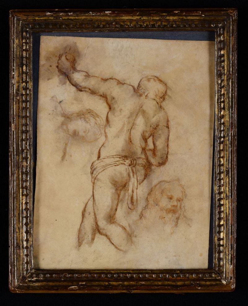 Scuola del XVI secolo Studi anatomici  - Auction Paintings and Drawings Timed Auction - I - Cambi Casa d'Aste