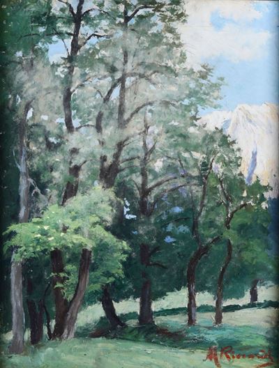 Michele Riccardi (1864 - ?)bosco