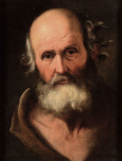Scuola Bolognese del XVII Secolotesta di Uomo con Barba