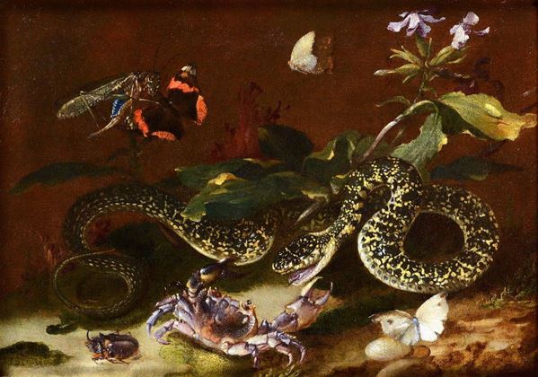 Otto Marseus van Schrieck (1619-1678) Sottobosco con serpente, granchio, scarabeo e farfalle