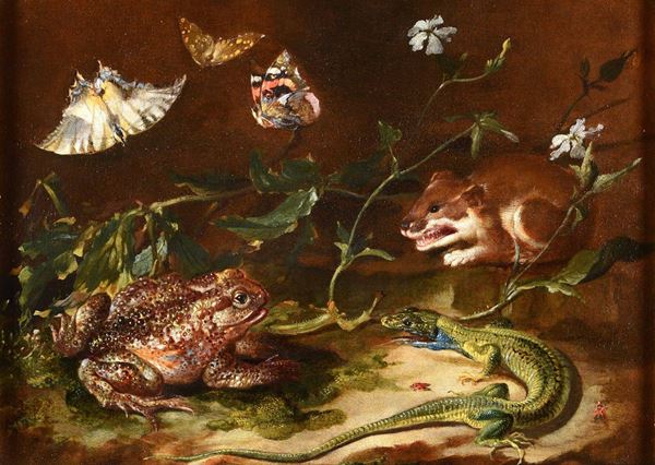 Otto Marseus van Schrieck (1619-1678) Sottobosco con lucertola, donnola, farfalle e rospo