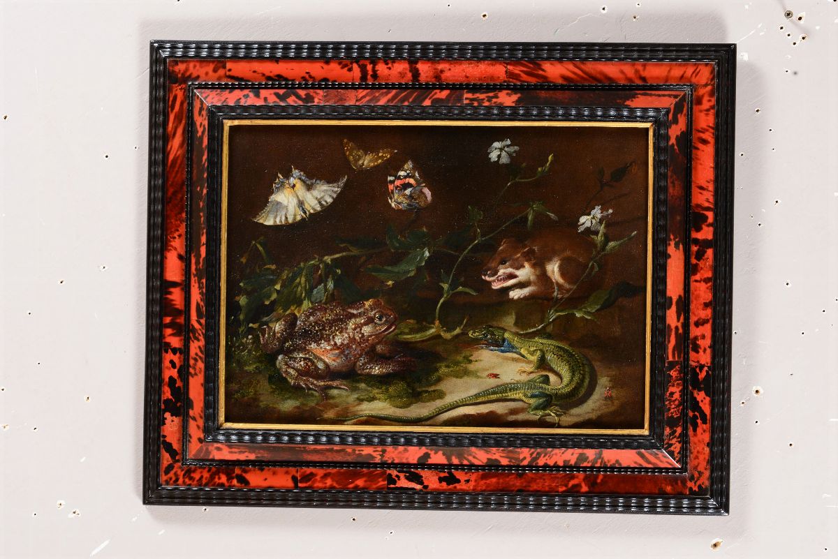 Otto Marseus Van Schrieck (1619-1678)sottobosco con Lucertola, Donnola, Farfalle e Rospo
