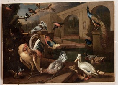 Scuola Fiamminga del XVII-XVIII Secoloscorcio Architettonico con Volatili
