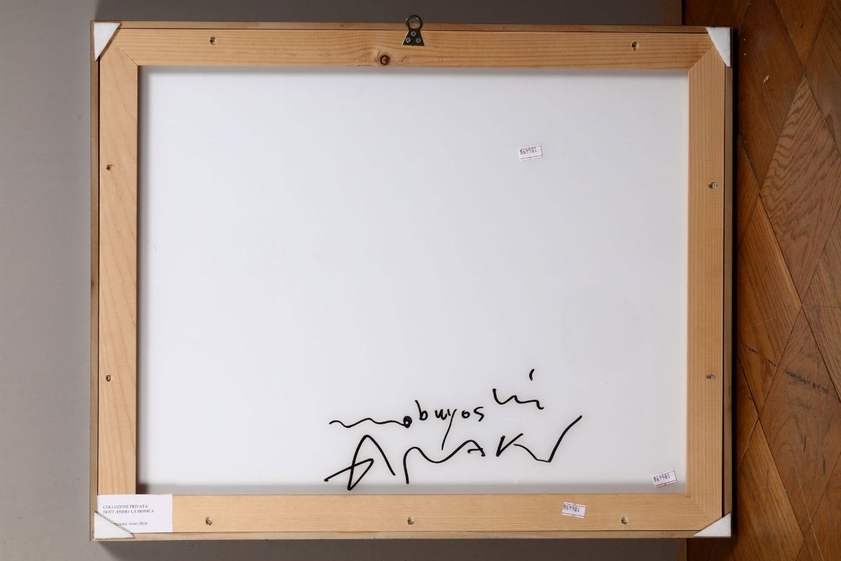 Nobuyoshi Araki (1940)s.t., 2008