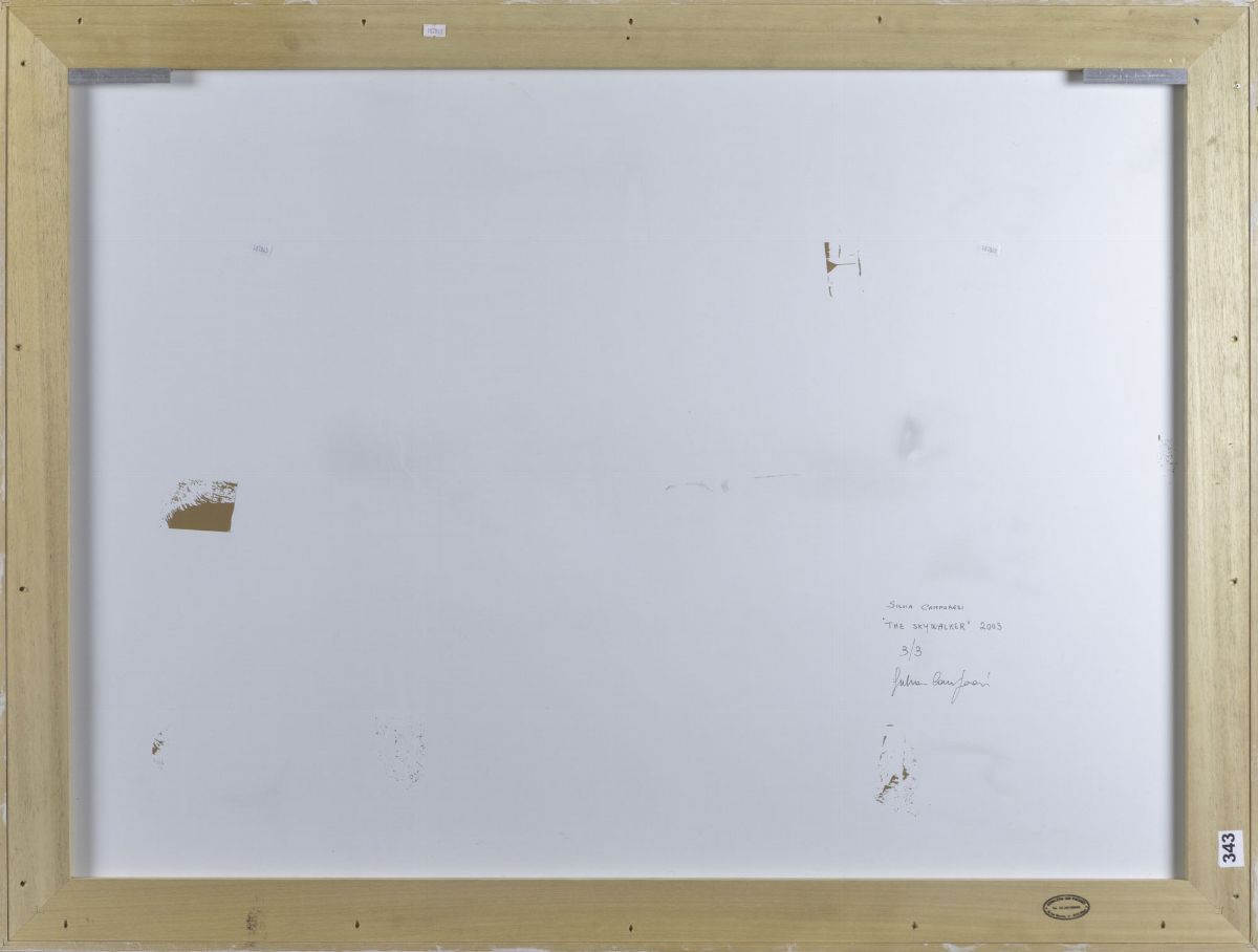 Silvia Camporesi (1973)the Skywalker, 2005
