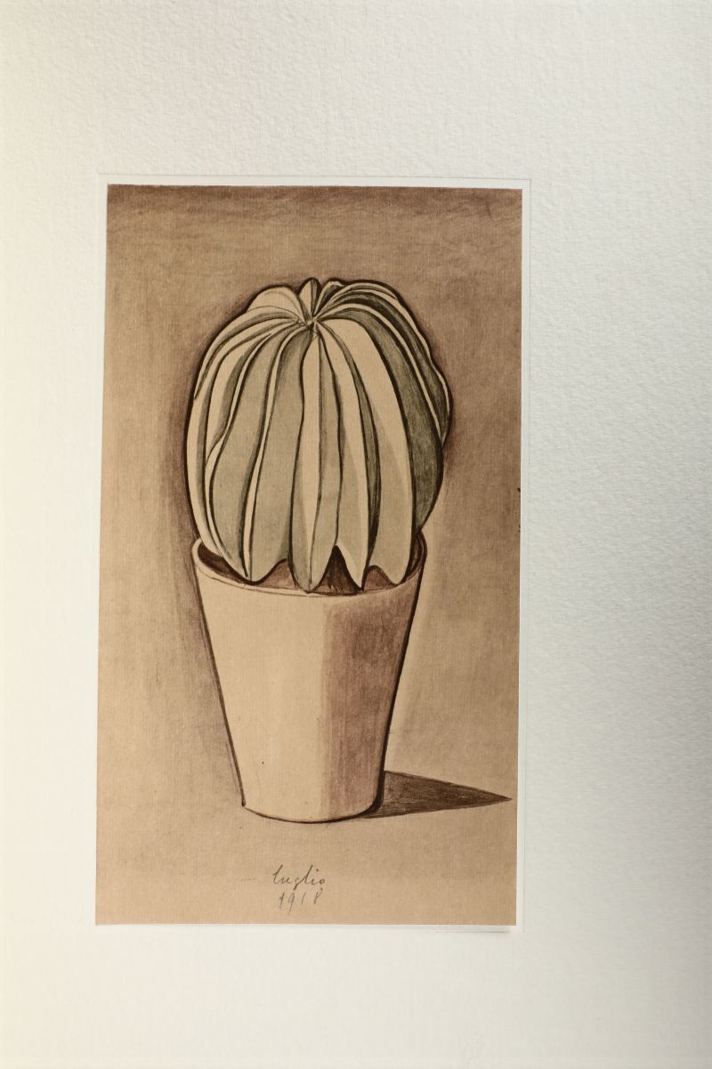 Vigorelli e Zurlini (a Cura DI)omaggio a Morandi