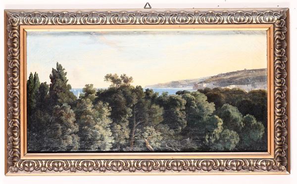 Anonimo del XIX secolo Paesaggio con sfondo di costa