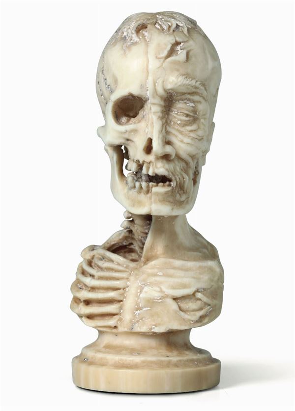 Memento Mori in avorio scolpito, Francia o Germania probabile XIX secolo raffigurante busto in decomposizione