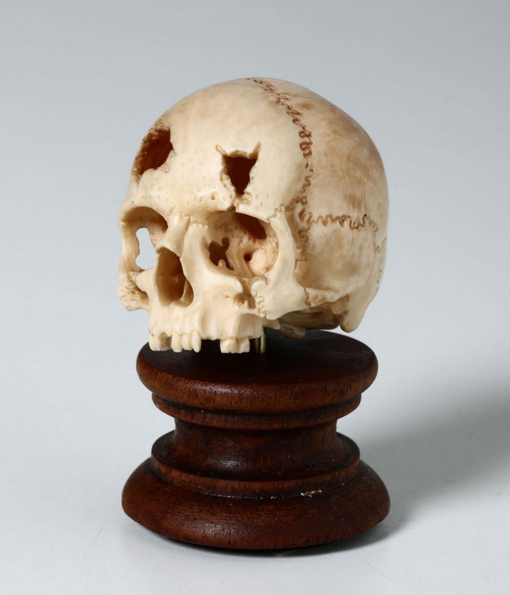 Memento Mori a Foggia di Teschio in Avorio Scolpito Probabile XIX-XX Secolo