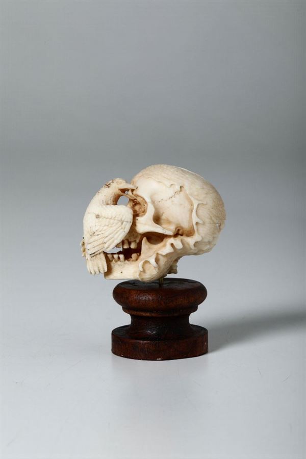 Memento Mori in avorio scolpito, Francia o Germania probabile XIX secolo raffigurante rapace e cranio in decomposizione