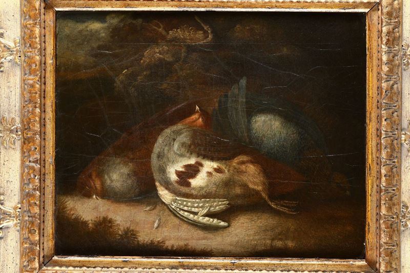 Scuola Italiana del XVII-XVIII secolo Natura morta  - Asta Pittura - Cambi Casa d'Aste