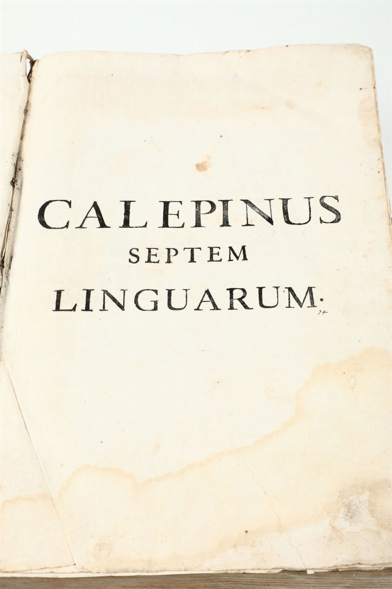 Ovidio Publio Nasonele Metamorfosi, Venezia, Dehuchino 1588