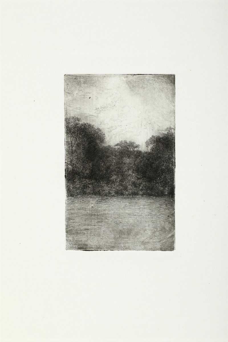 Colavini,arturo 1862-1938tredici Belle Incisione All'acquaforte, Acquatinta(alcuni Esemplari Ripe...