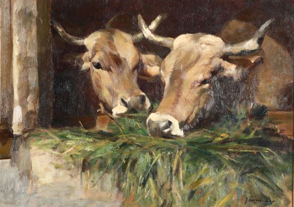 Filippo Massaro (1900-?) Mucche