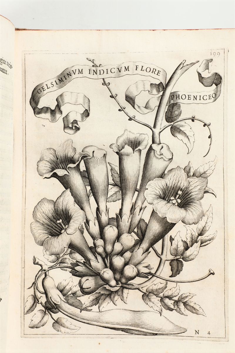 Ferrari,giovanni Battistade Florum Cultura..romae,stephanus Paulinus,1633.