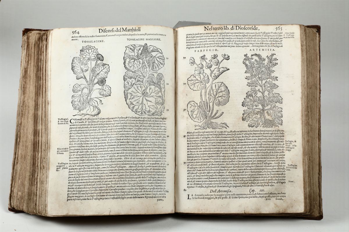 Mattioli,pietro Andreadiscorsi in Materia Medicinale..venezia,valgrisi,fine sec.XVIII
