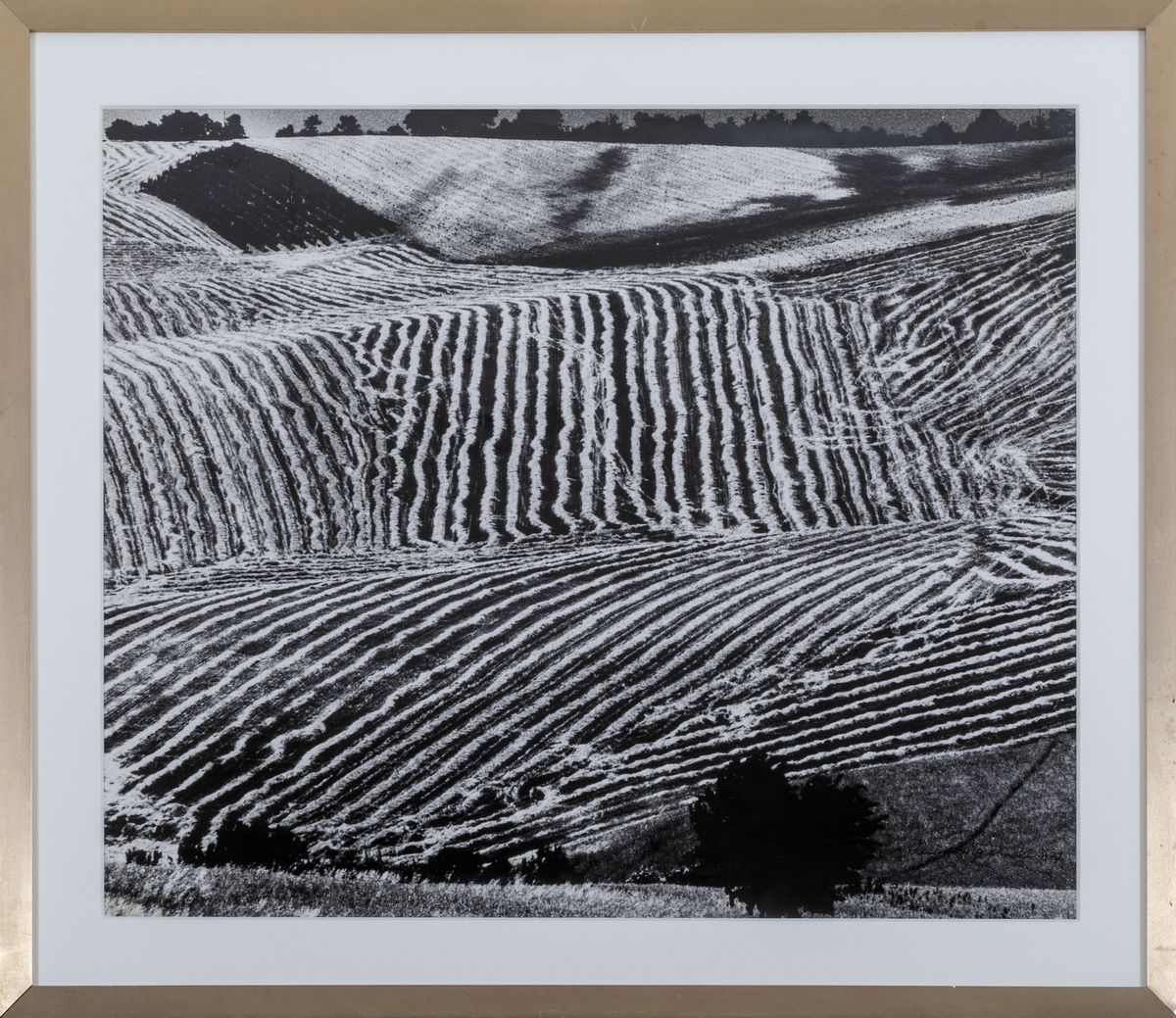 Mario Giacomelli (1925-2000)presa Coscienza della Natura, 1977