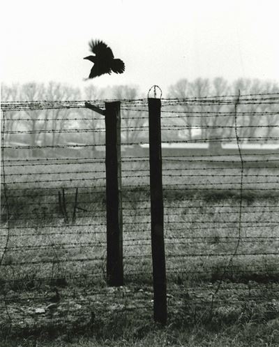 Erich Hartmann (1922-1999)barbed Wire, Poland