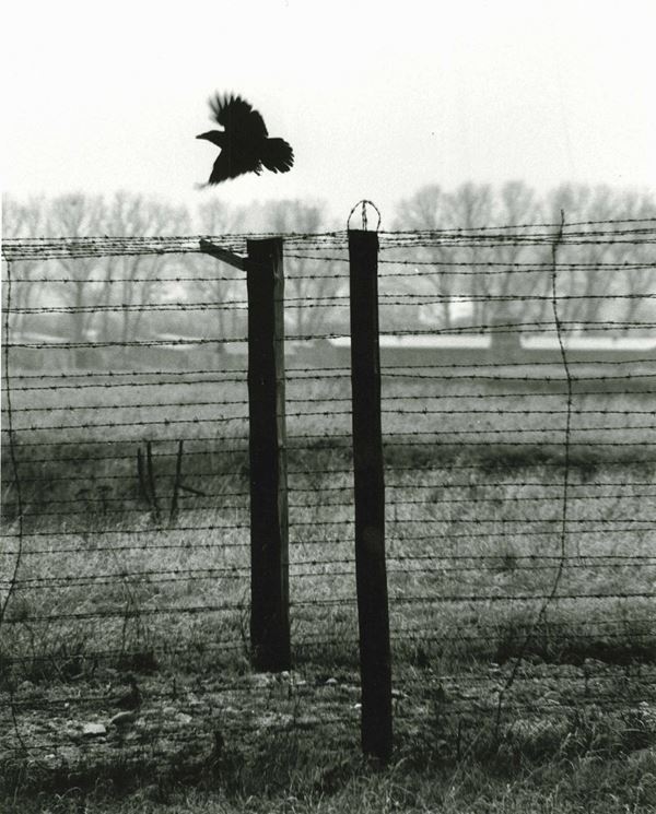 Erich Hartmann (1922-1999) Barbed wire, Poland