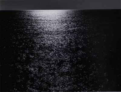 Buchsbaummèditerranée, 1989