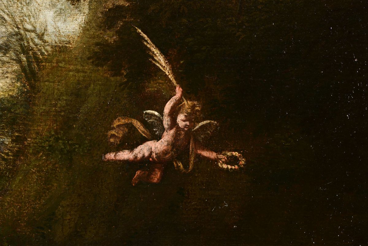 Francesco Albani (1578-1660), Attribuito Amartirio di Santa
