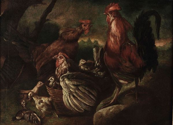 Giorgio Duranti (Brescia, 1683 - Palazzolo S/O, 1753) Gallo, gallina, e chioccia con pulcini