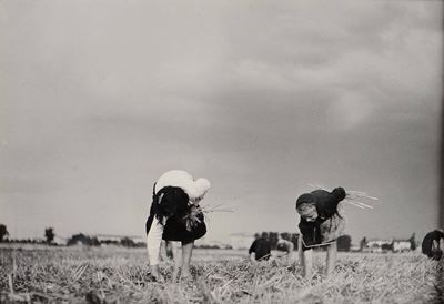 Gualberto Davolio Marani (1915-2004)spigolatrici