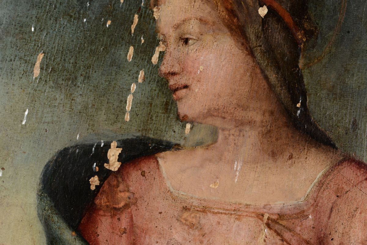 Andrea del Sarto (firenze 1486-1530), Cerchia Dimadonna con Bambino e San Giovannino
