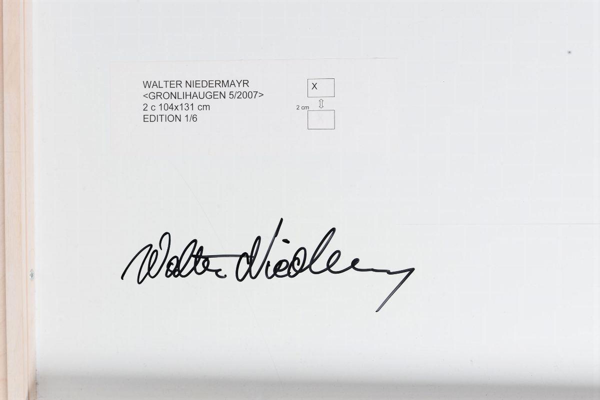 Walter Niedermayr (1952)gronilhaugen N. 5, 2007 (dittico)