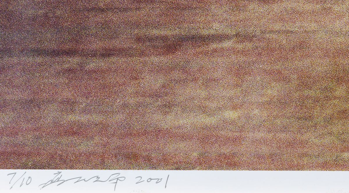 Gao Brothers20 People Paid To Hug N.2, 2001
